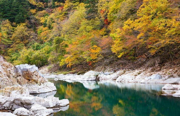 Nikko 3