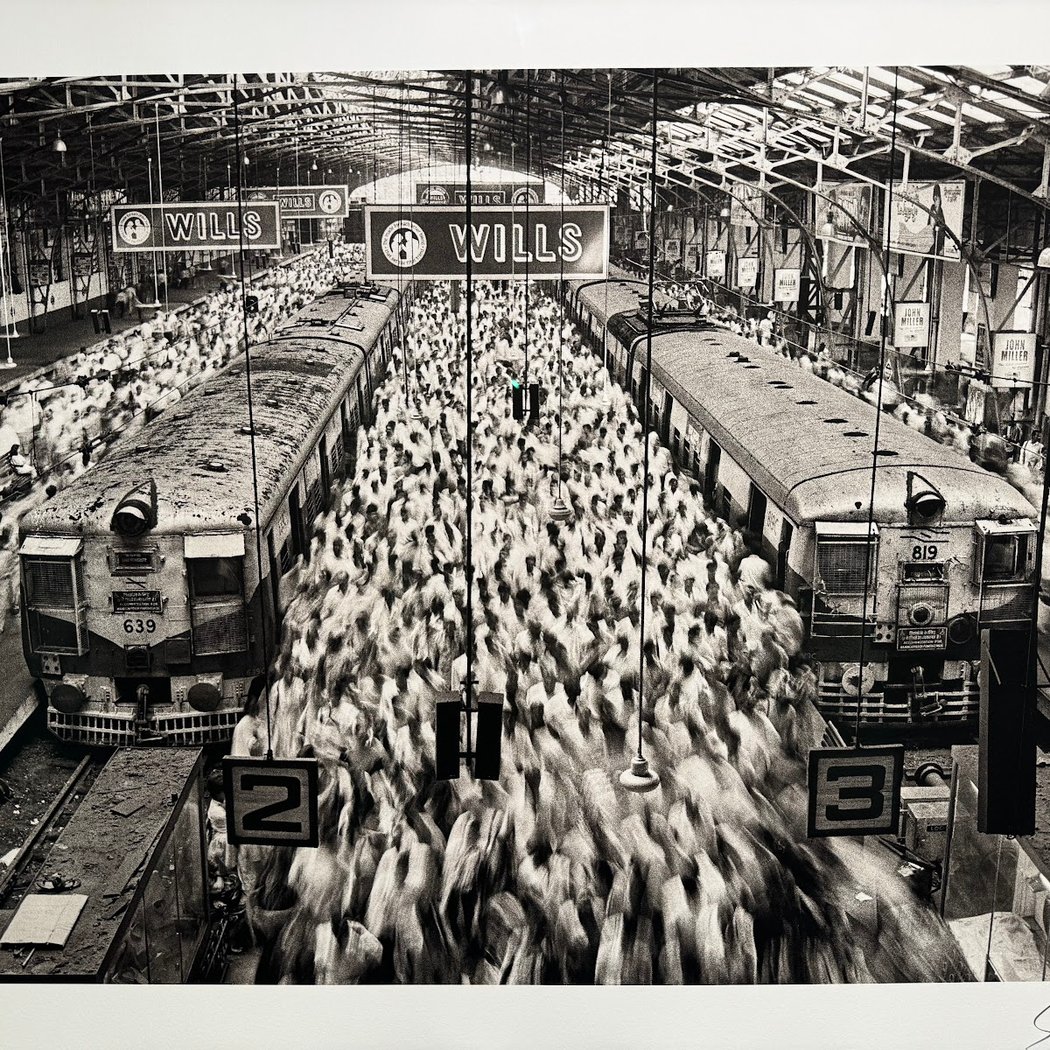 Exposition « Palm » de Matt Henry 1