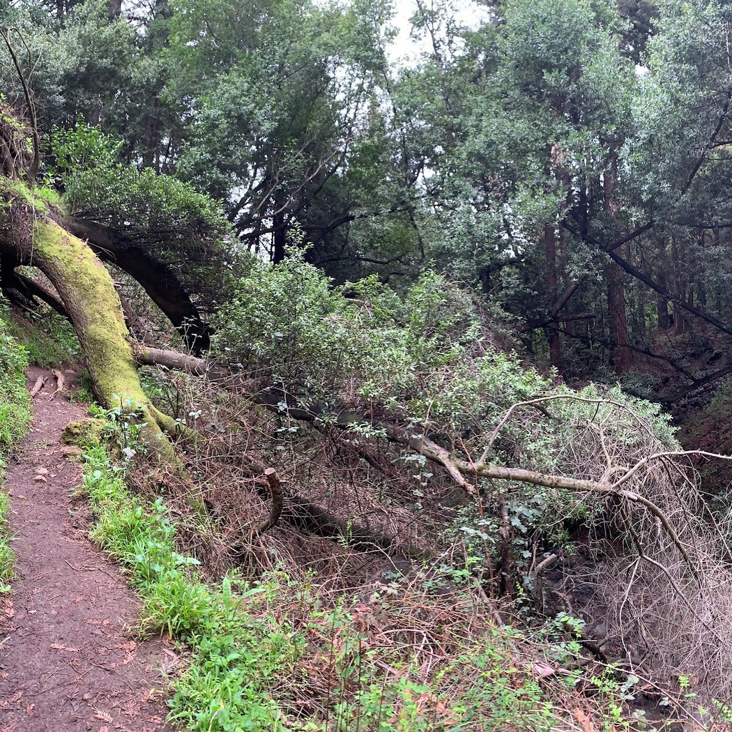 York Trail 2