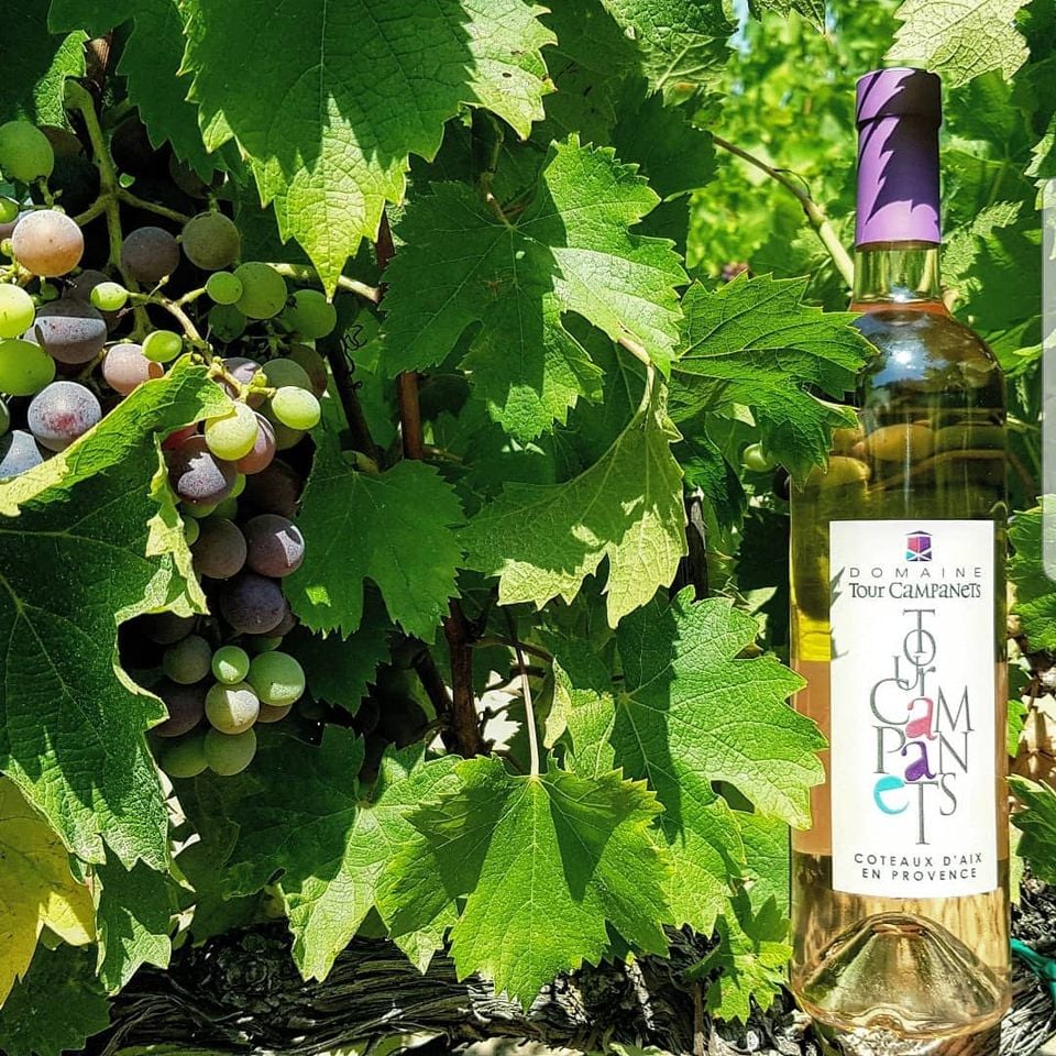 Domaine Tour Campanets 3