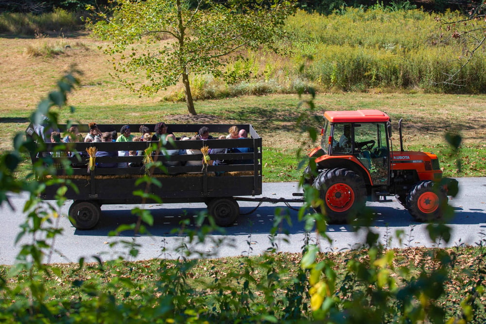 Truck & Tractor Day 2