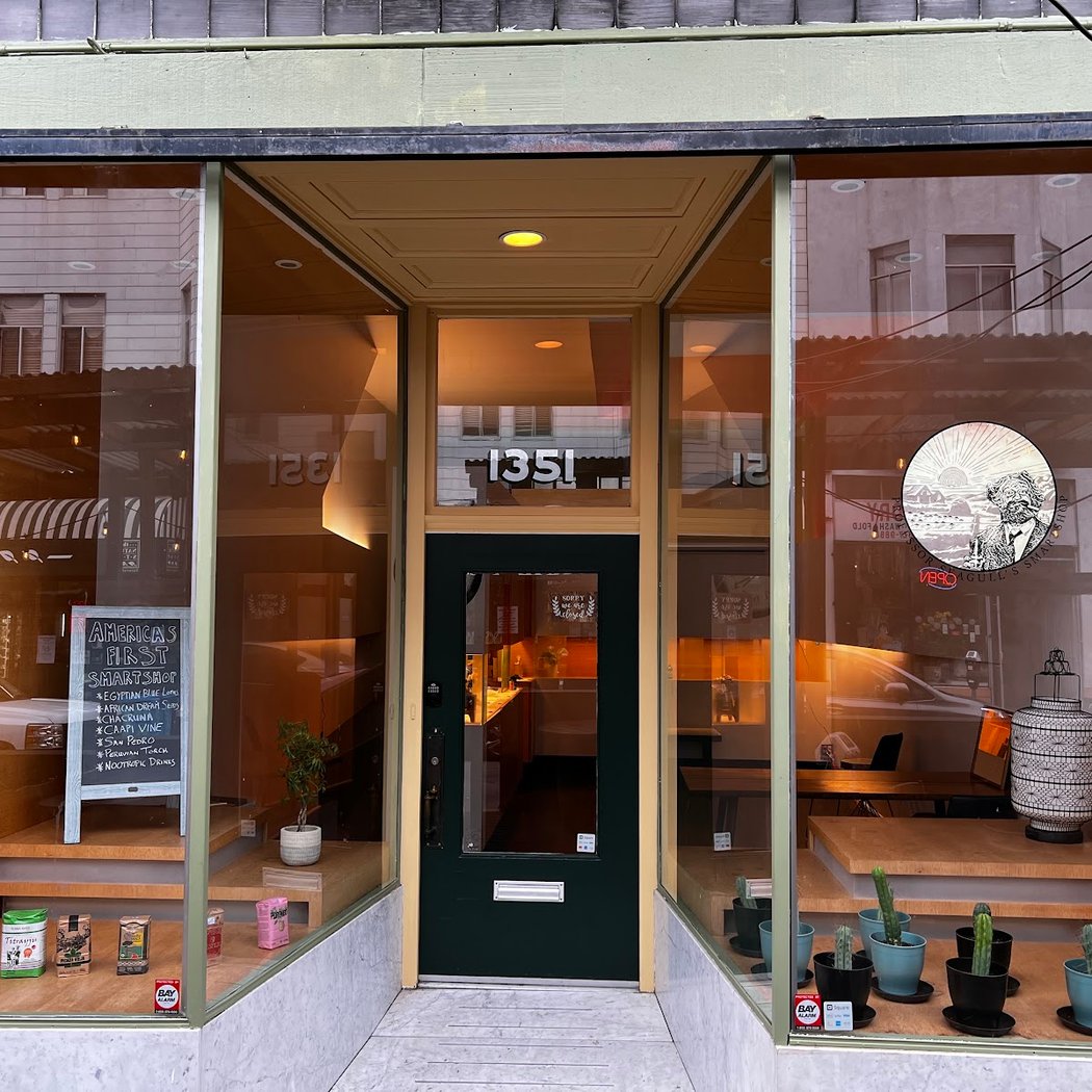 Professor Seagull's Smartshop and Gallery 2