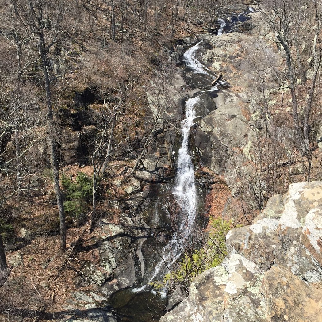 Whiteoak Canyon Trail 2