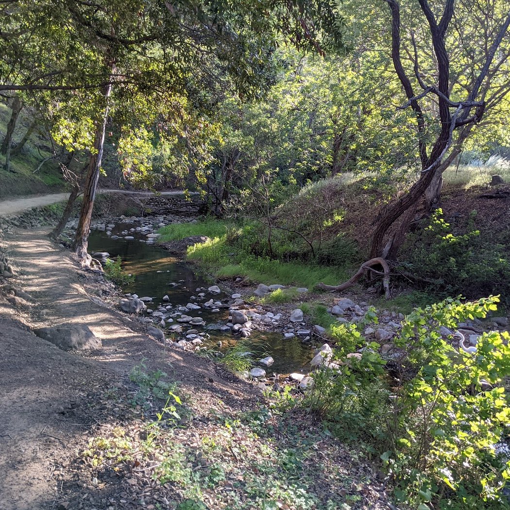 Eagle Rock Trail 2