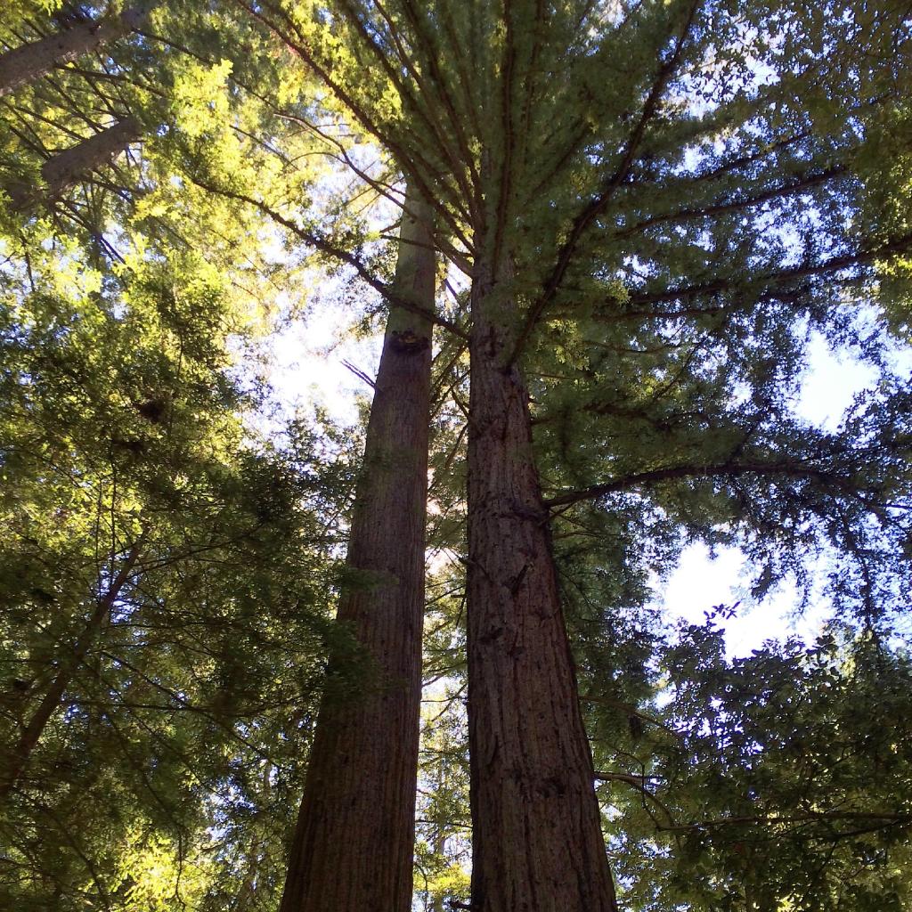 Sanborn County Park 3