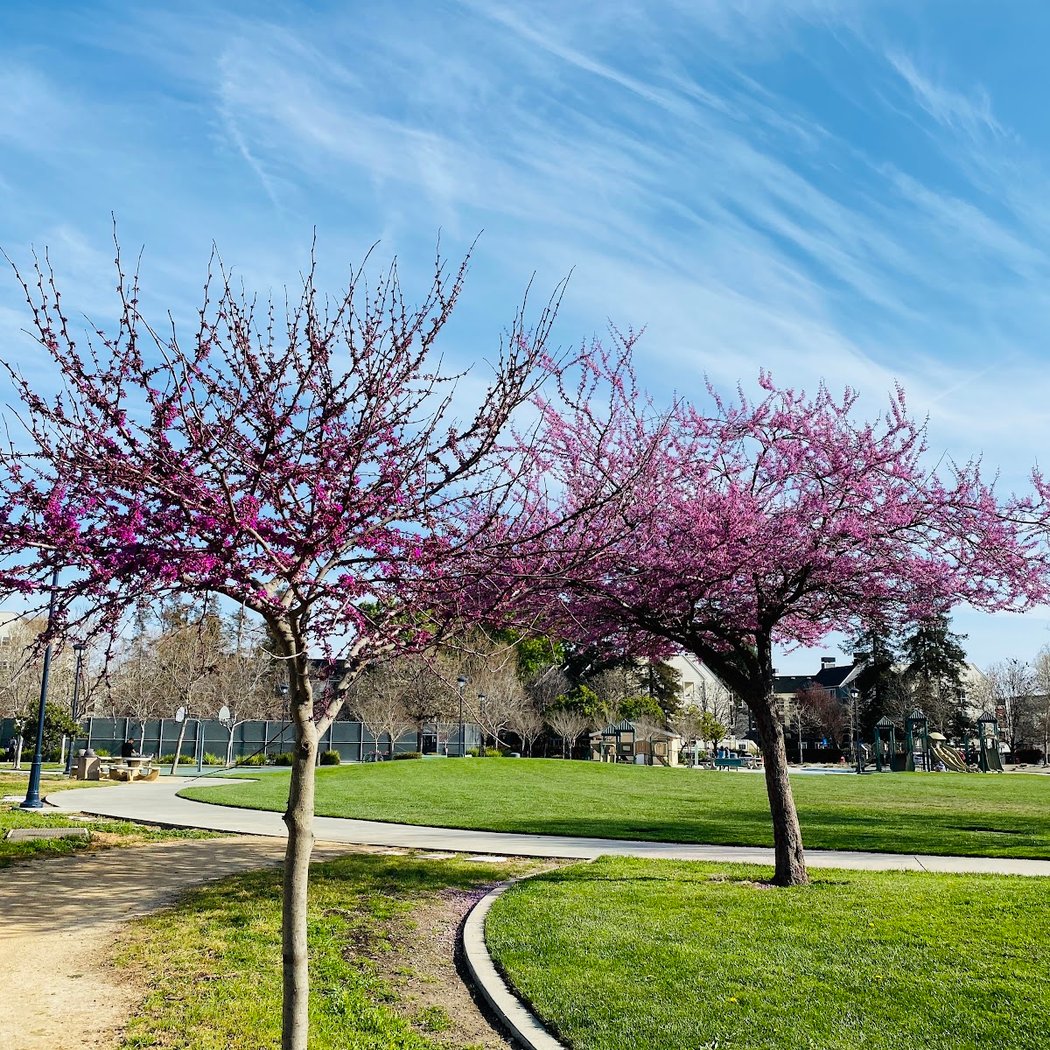 Thamien Park 1