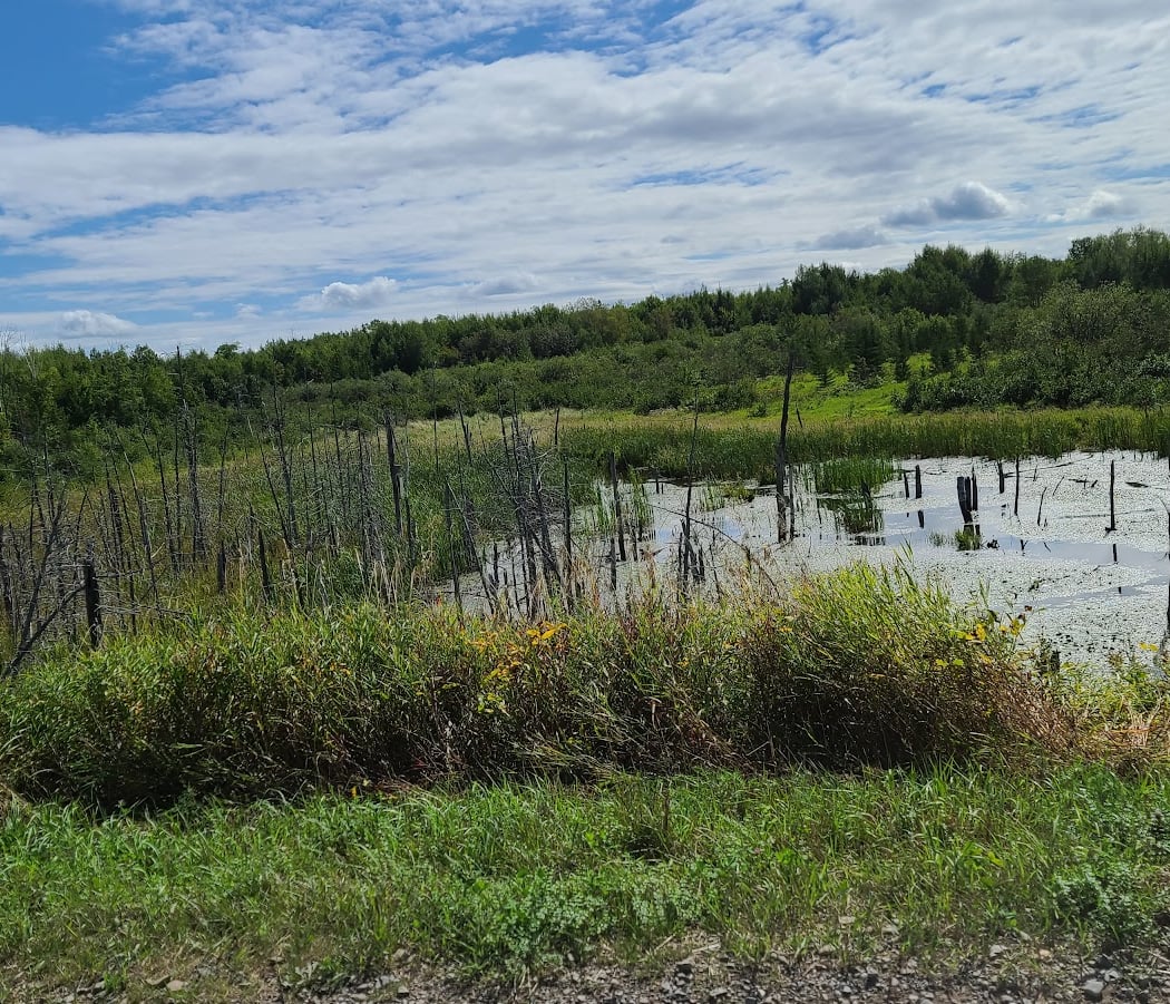 Nepisiguit Mi'gmaq Trail 2