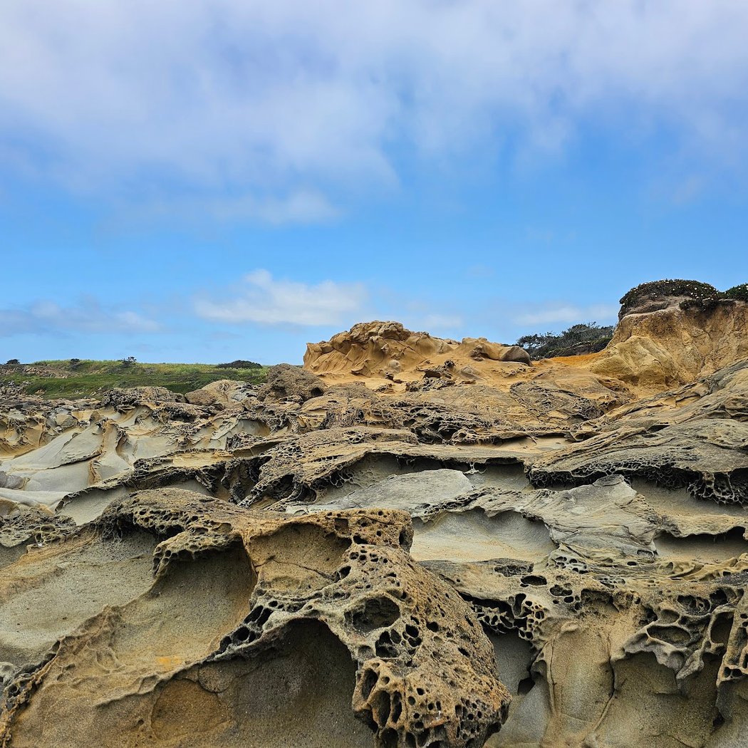 Pebble Beach at Bean Hollow State Beach 1