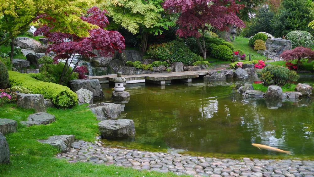 Holland Park 3
