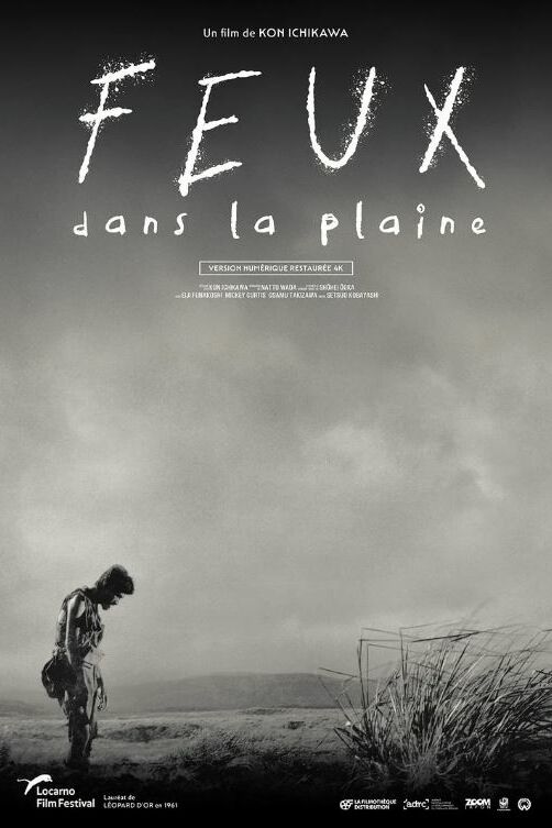 FEUX DANS LA PLAINE 1