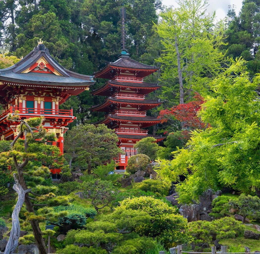 Japanese Tea Garden's Free Admission Hour 1