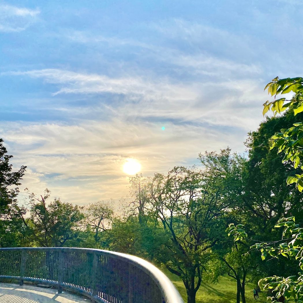 Thomsen Overlook 2