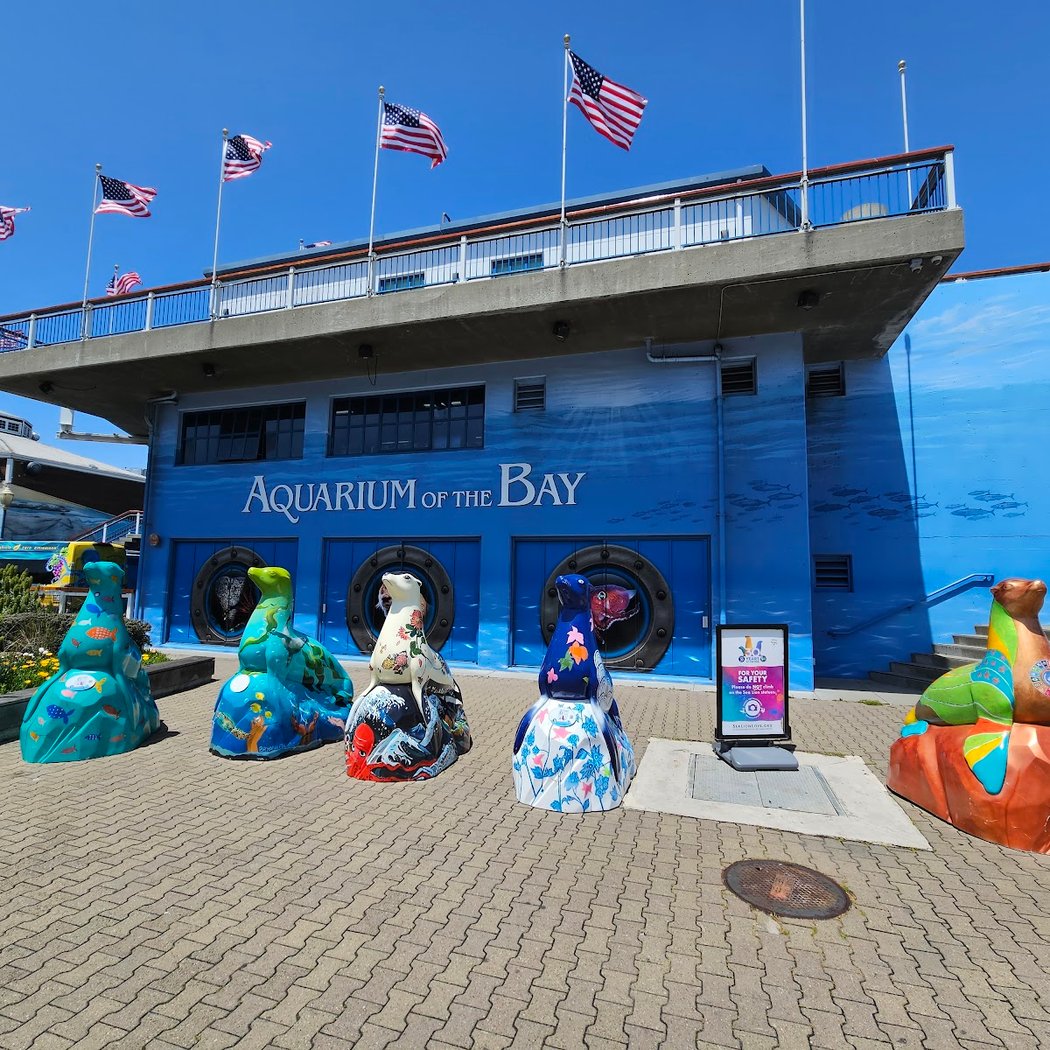 Aquarium of the Bay 3