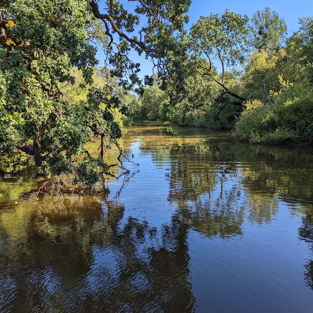 Laguna Wetlands Preserve 2