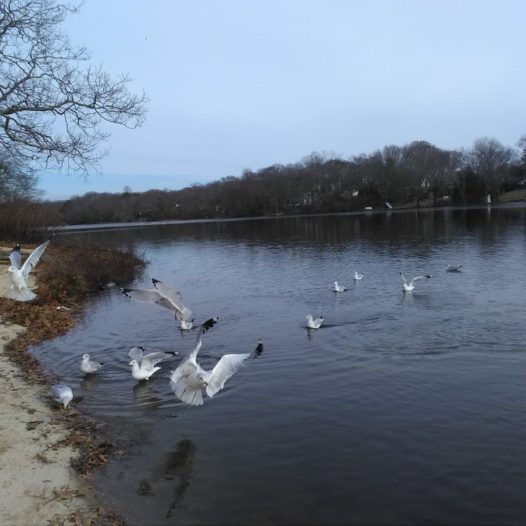 Kalers Pond Park 2