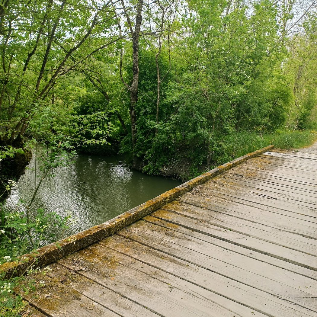 Saint-Hilaire-la-Palud 3