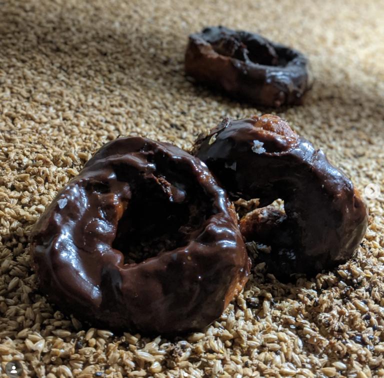 Pond Farm + Johnny Doughnuts 1