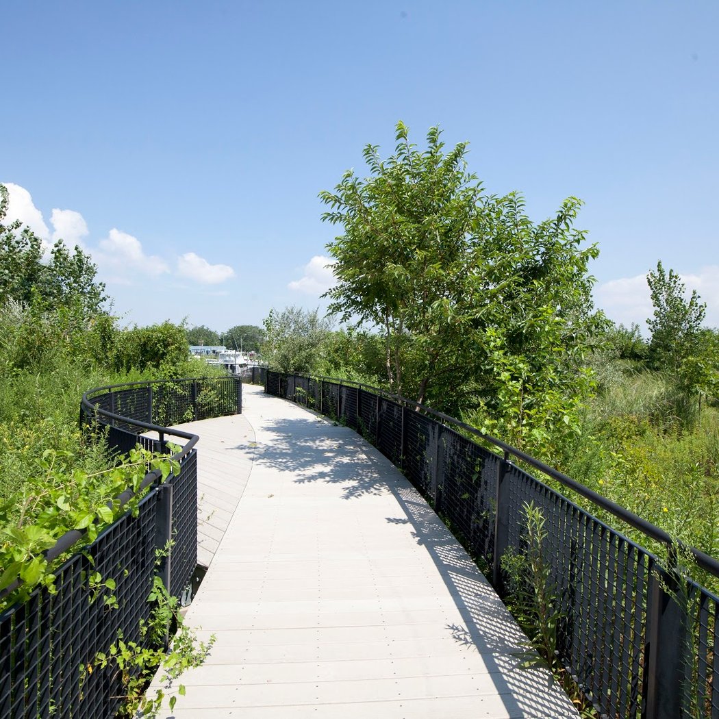 Ecology Park Restoration and Tour 3