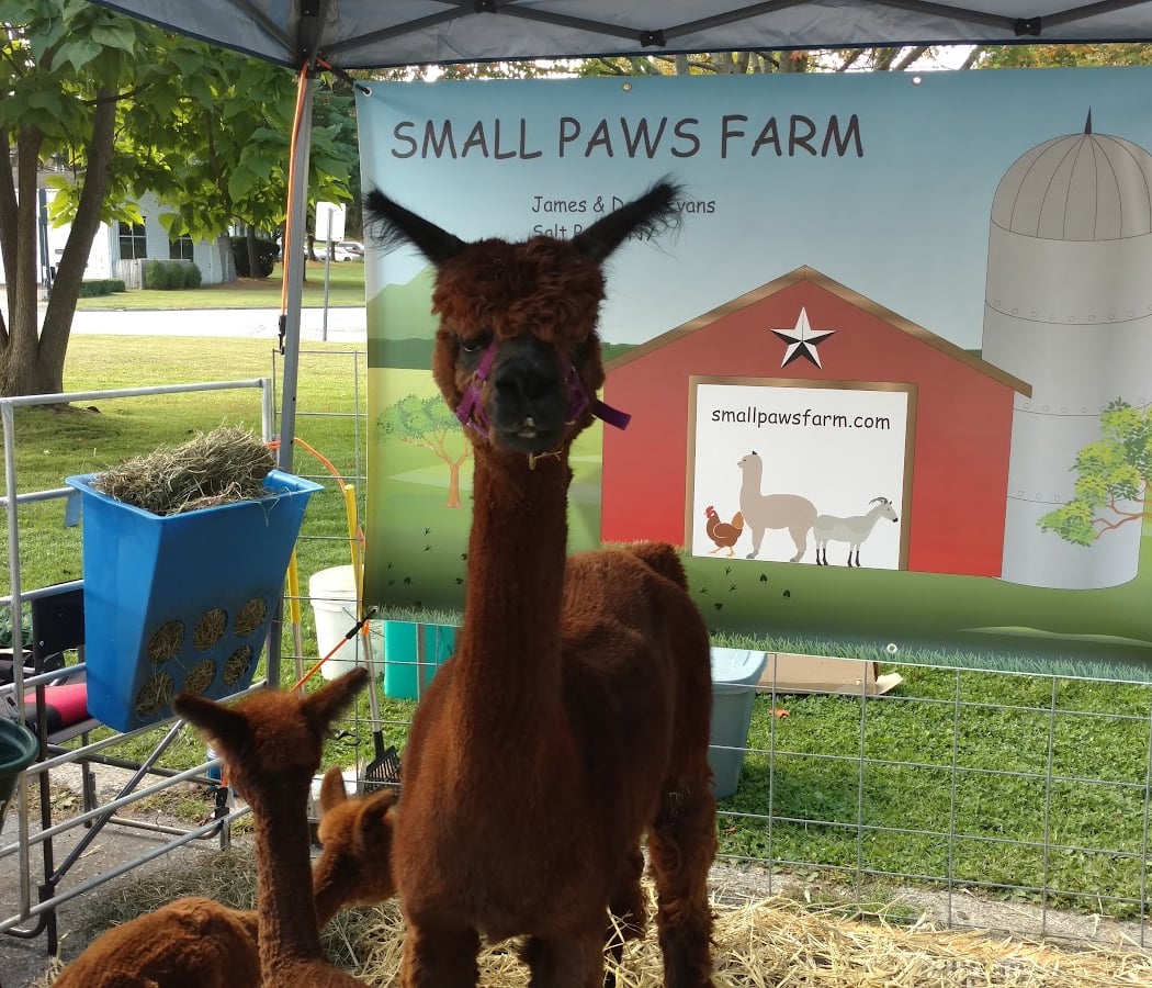 Millbrook Farmers' Market 3