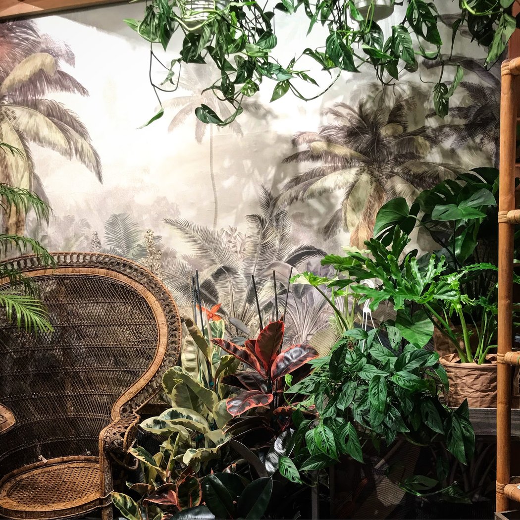 Paraíso Plant Studio 3