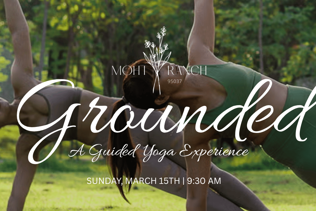 Get Grounded at MOHI Ranch 1
