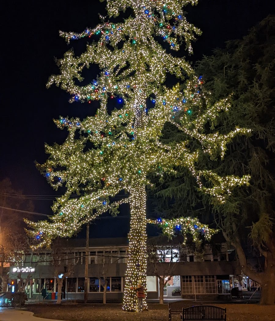 Fremont Park 3