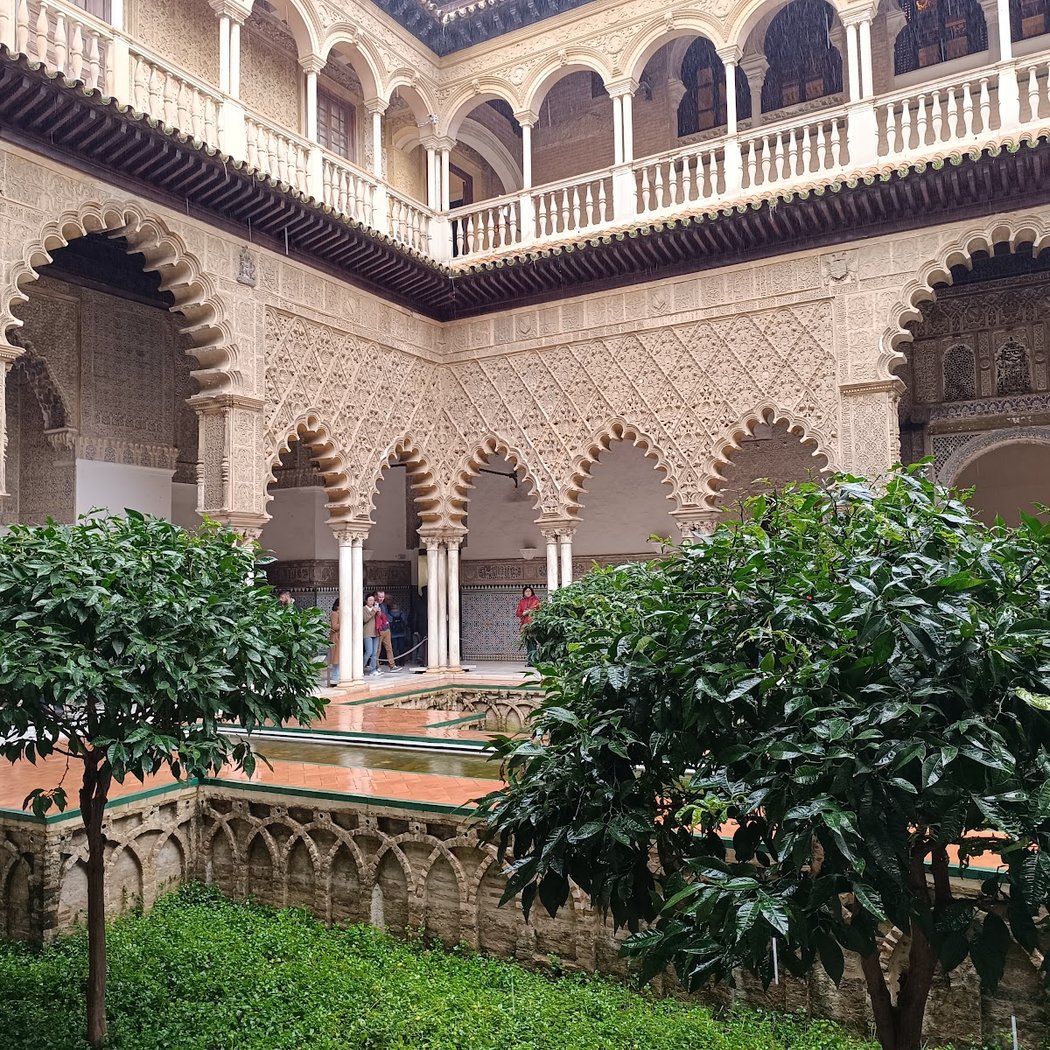 Pancho Tours Sevilla 2