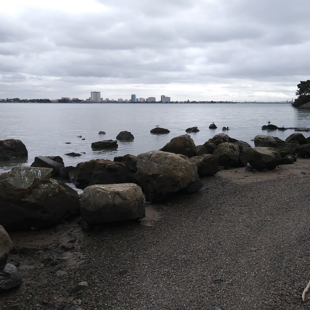 Shorebird Park Stage 3