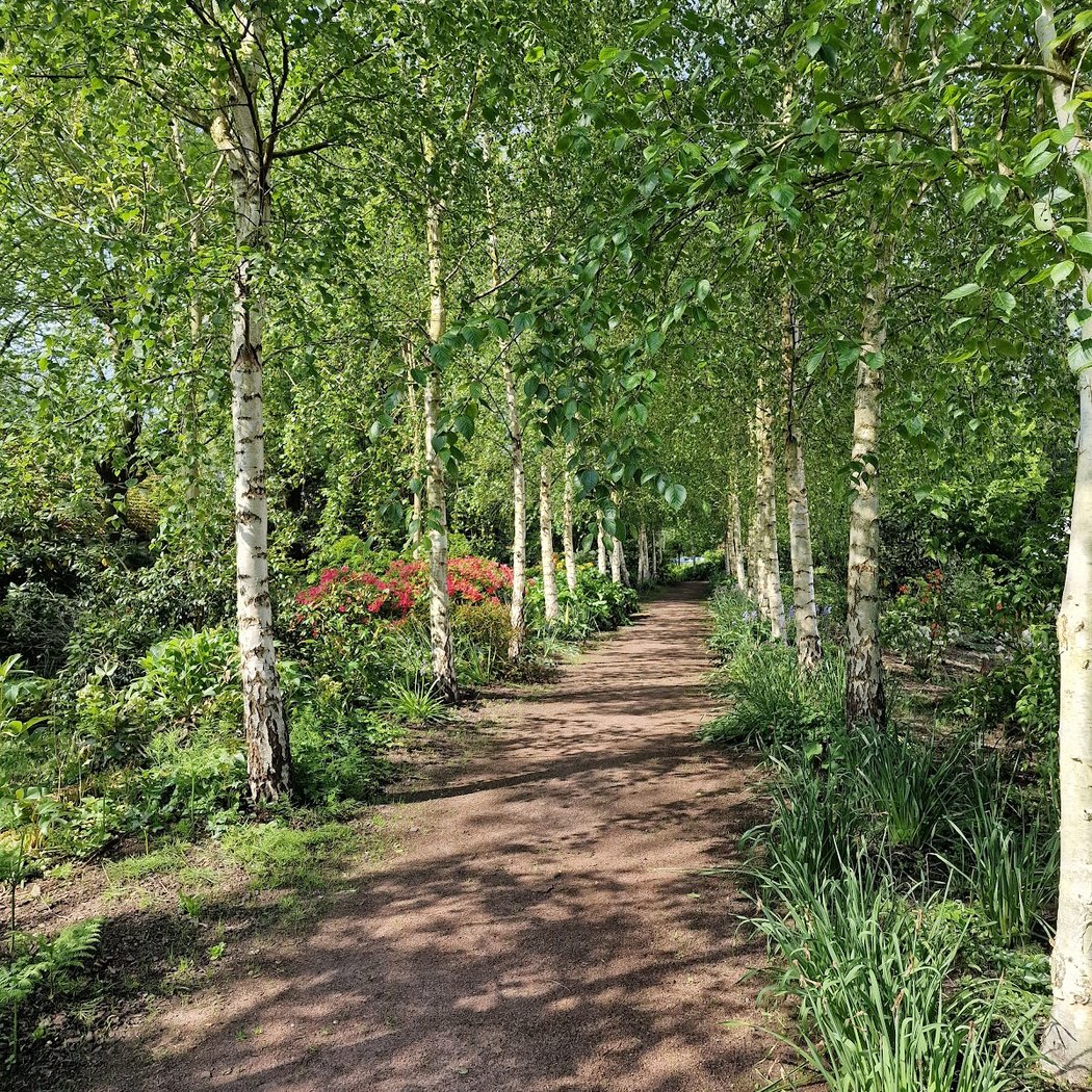 Parc Floral William Farcy 3