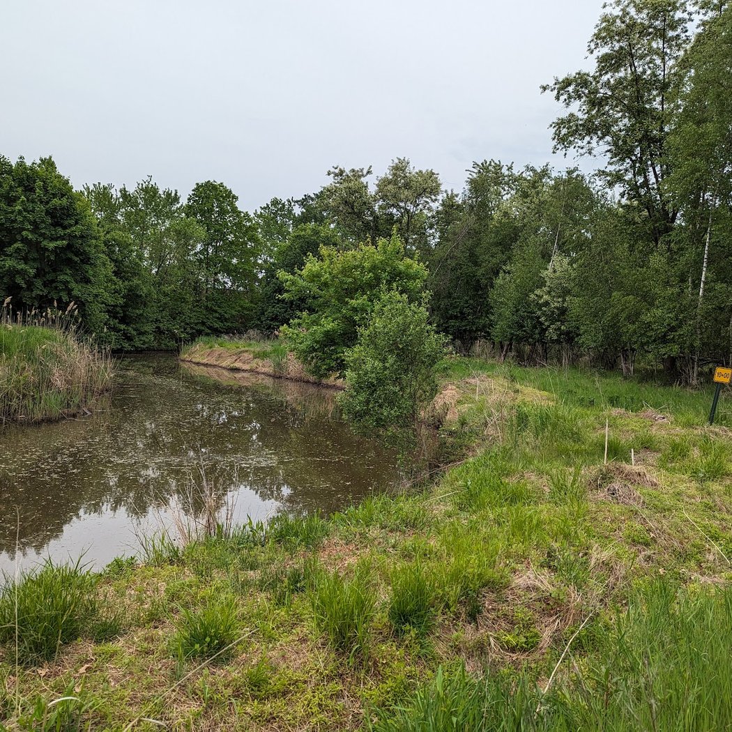 Losen Slote Creek Park 2