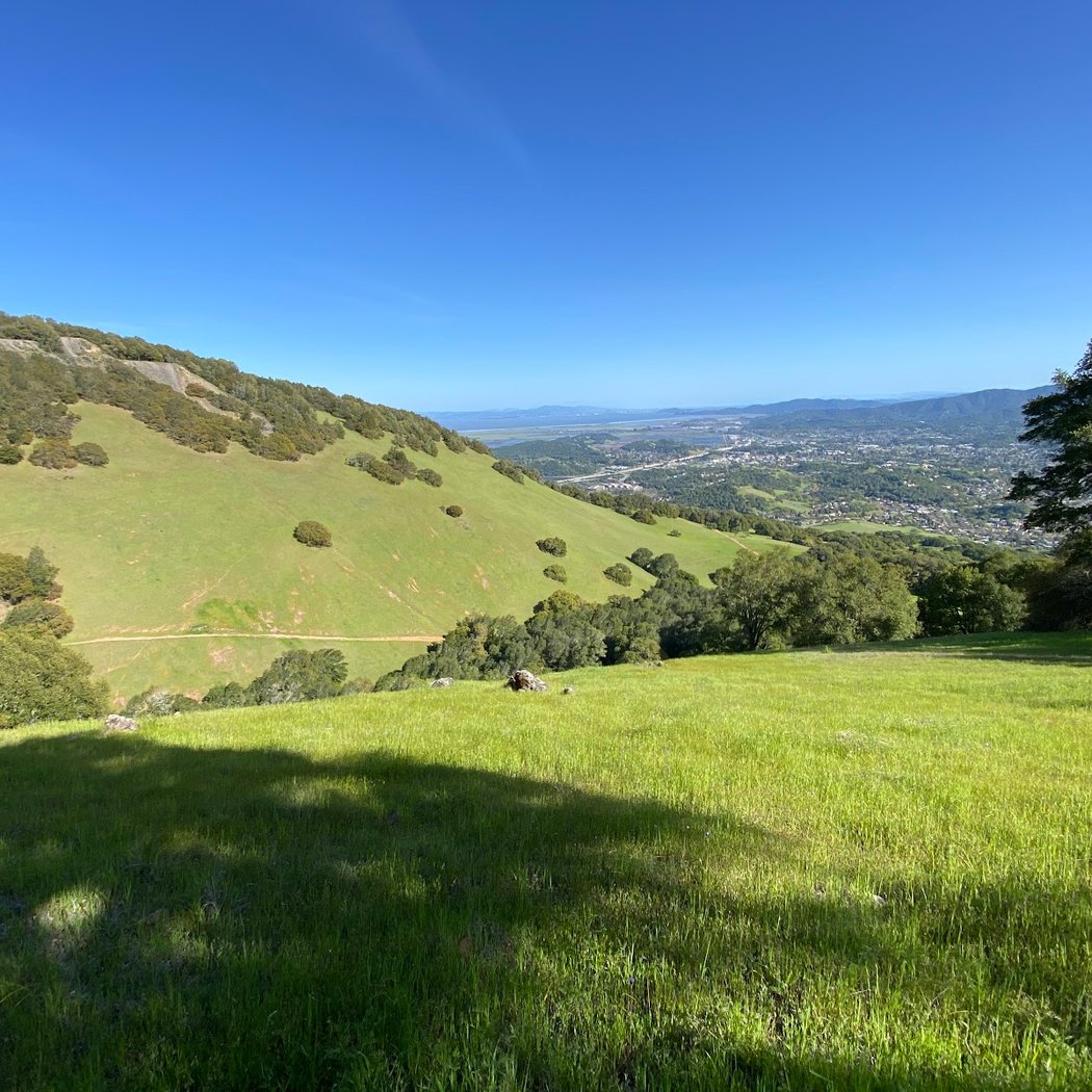 Mount Burdell Preserve 2