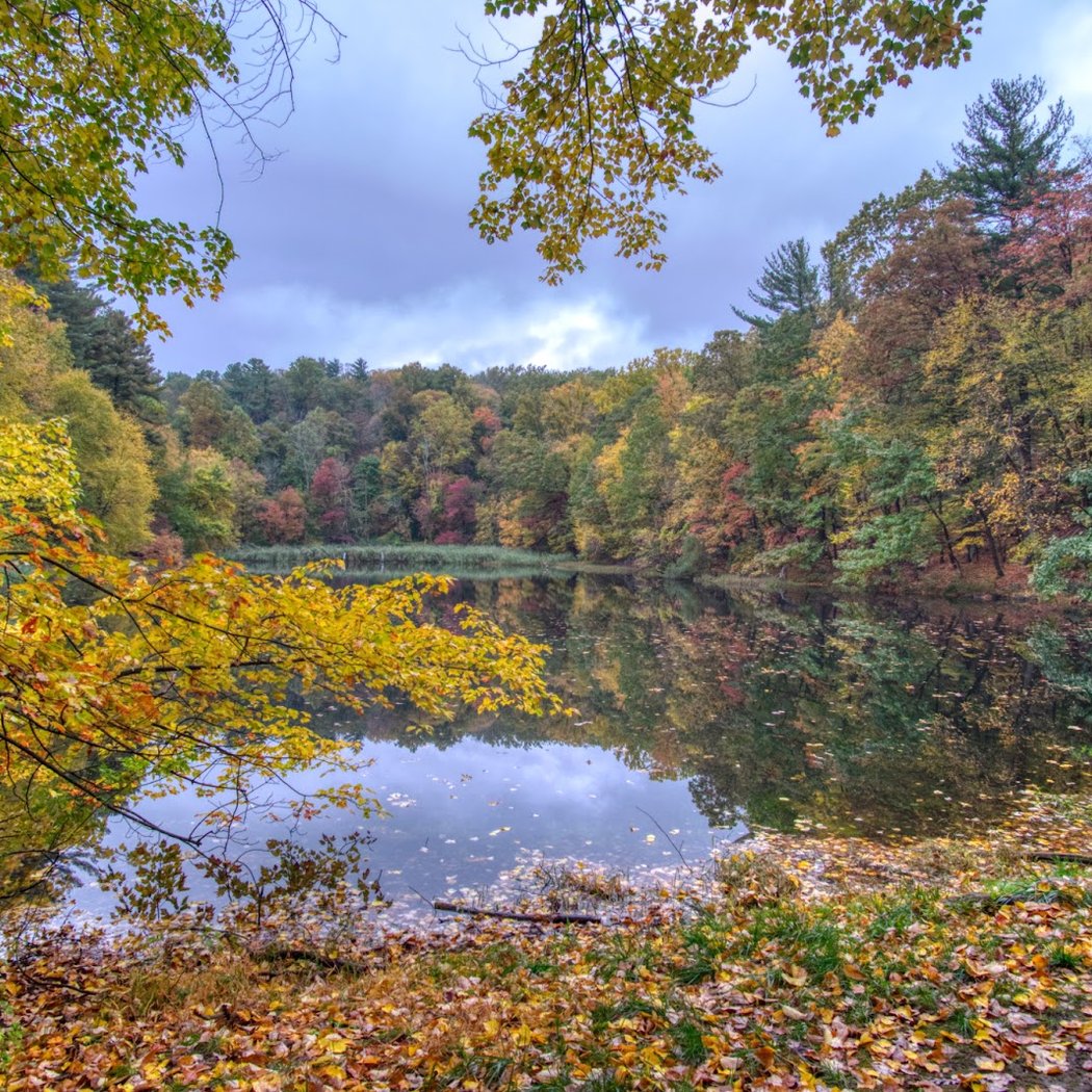 Westmoreland Sanctuary 1