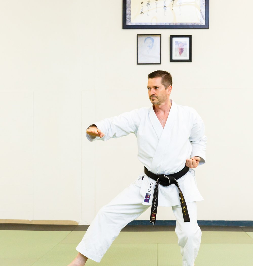 Silicon Valley Karate 2