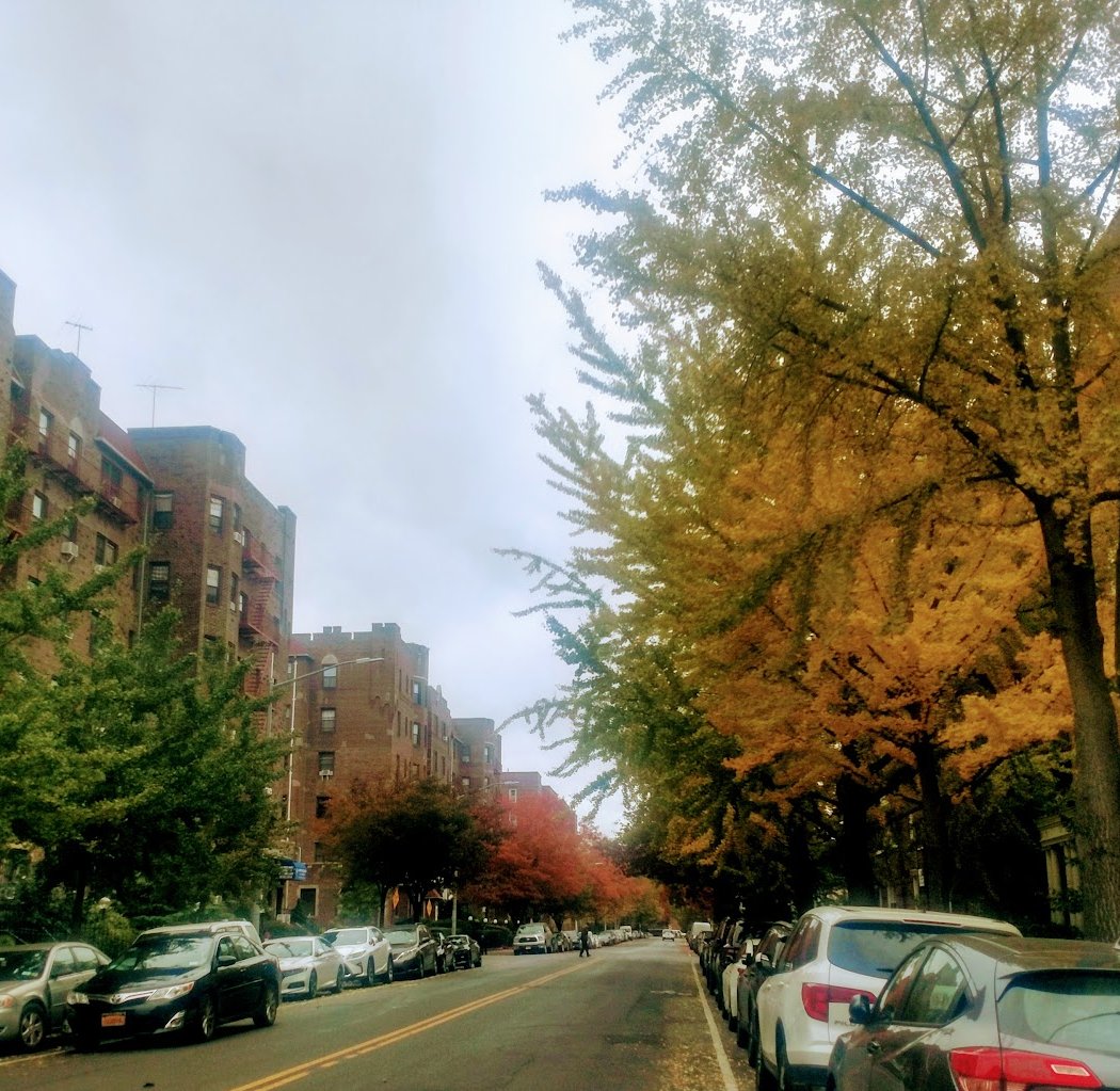 Kensington 3