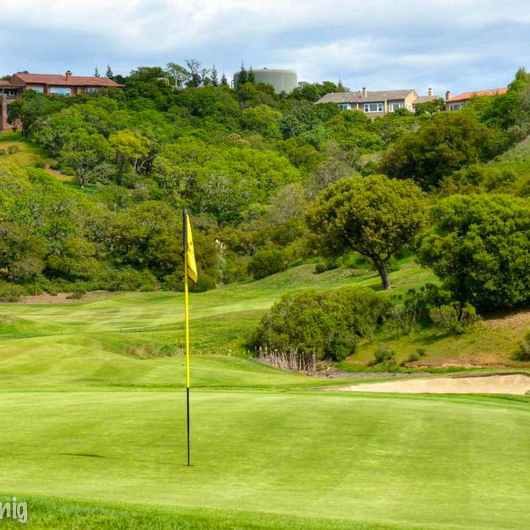 StoneTree Golf Club 3