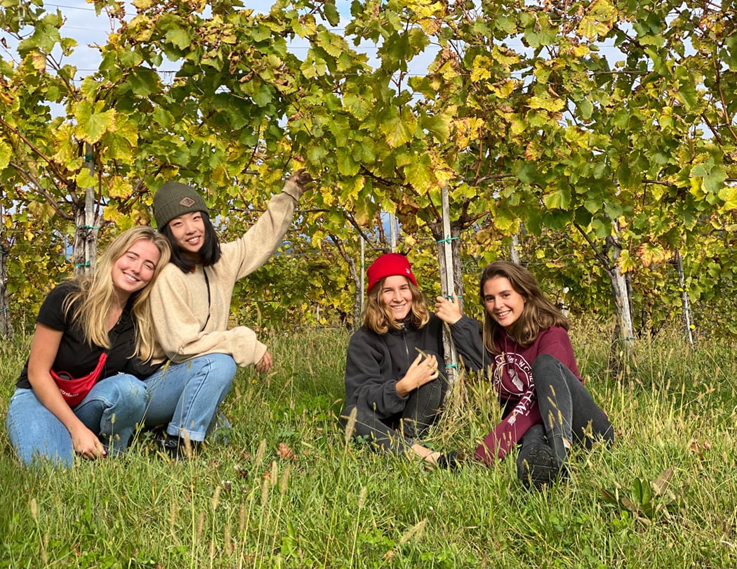 Into the Wine 1