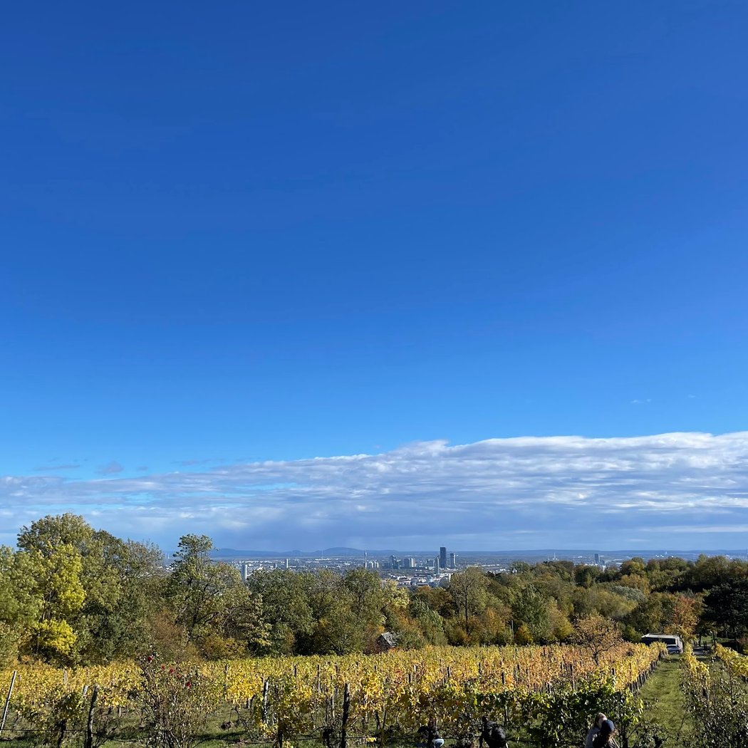 Kürbisfest am Himmel 3
