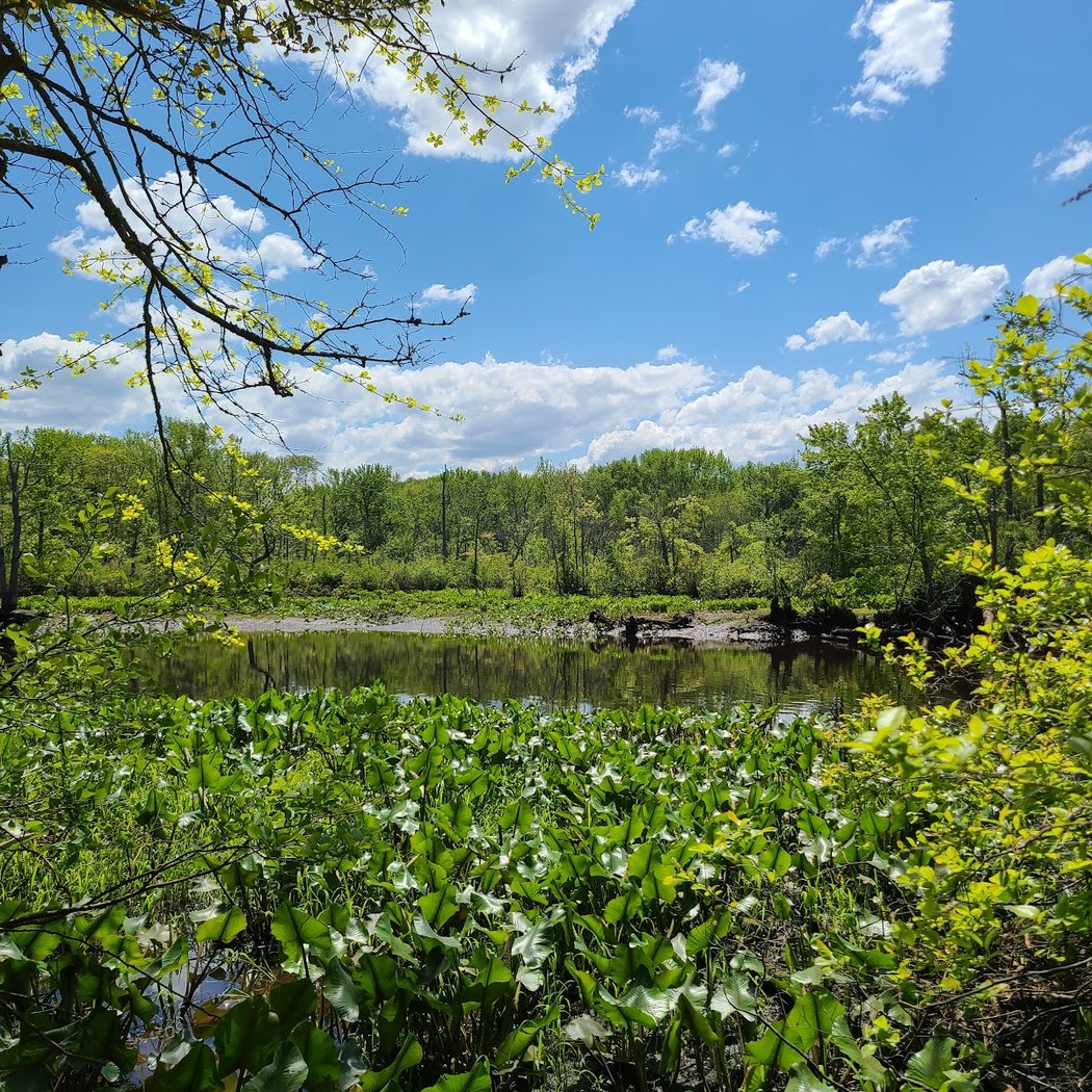 Rancocas Nature Center 3