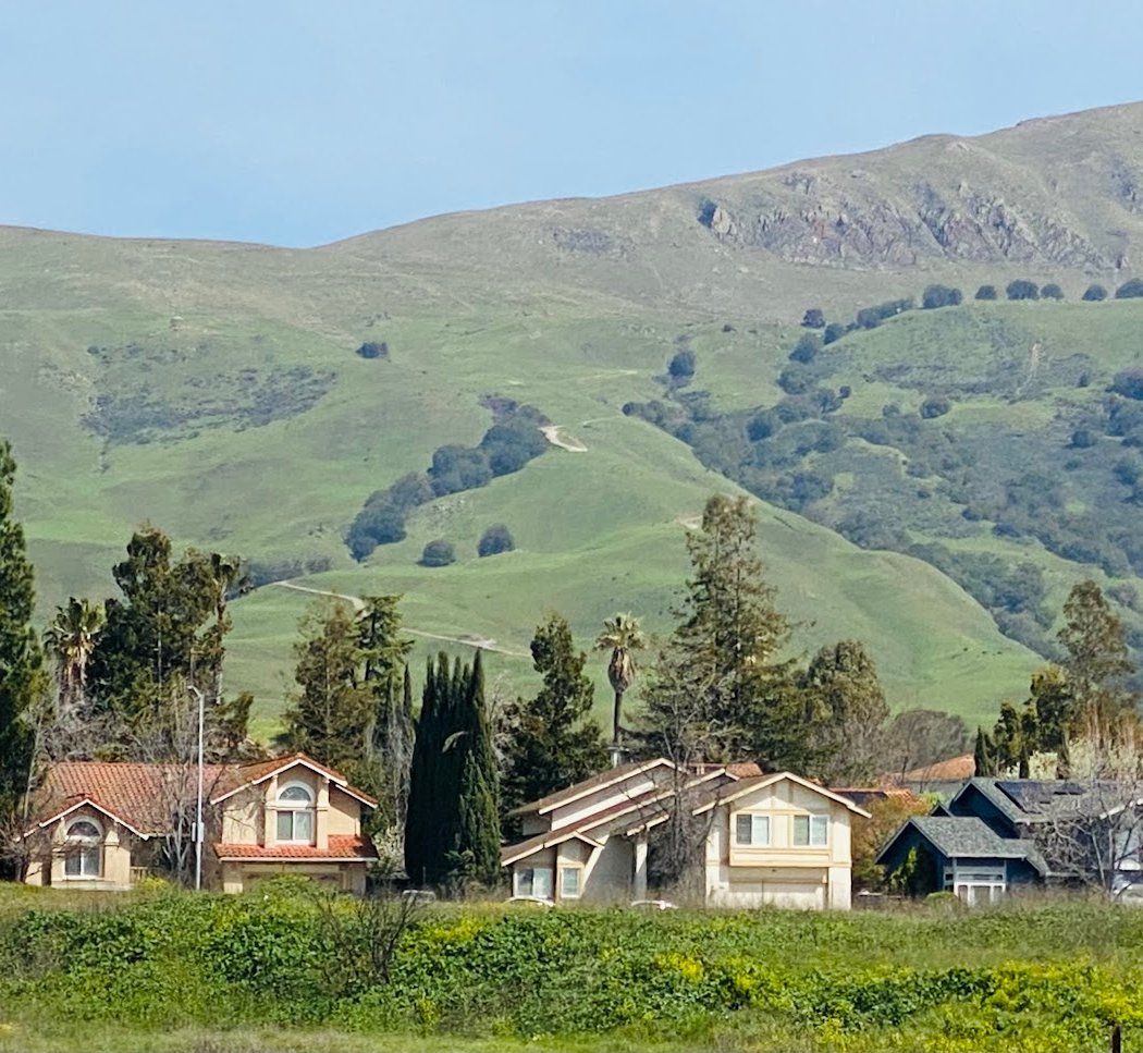 Fremont 3