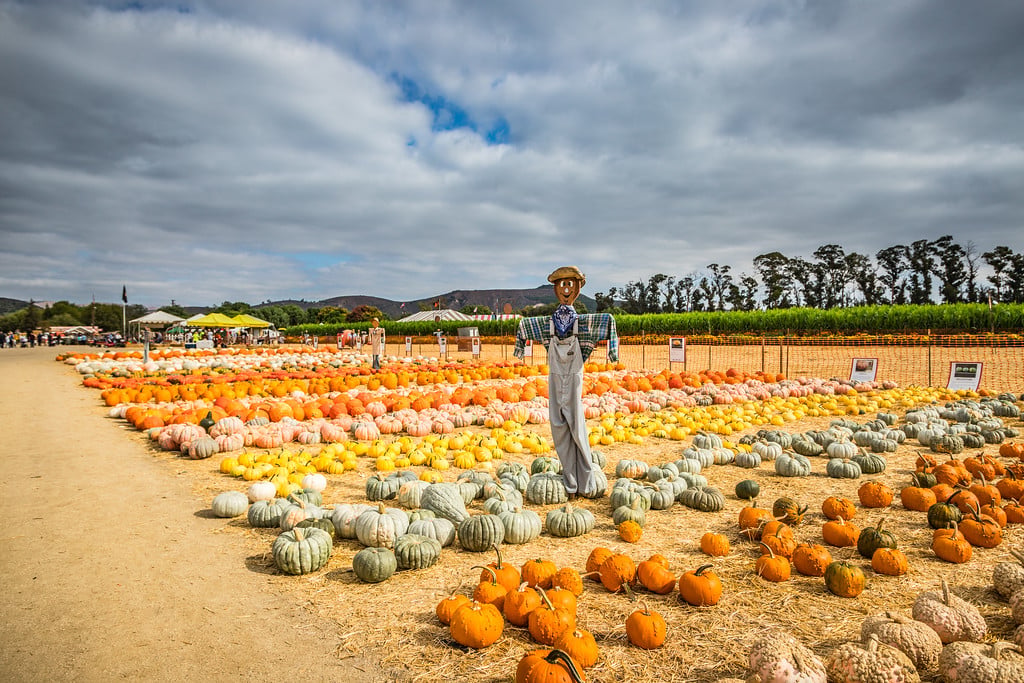 Underwood Family Farms 2