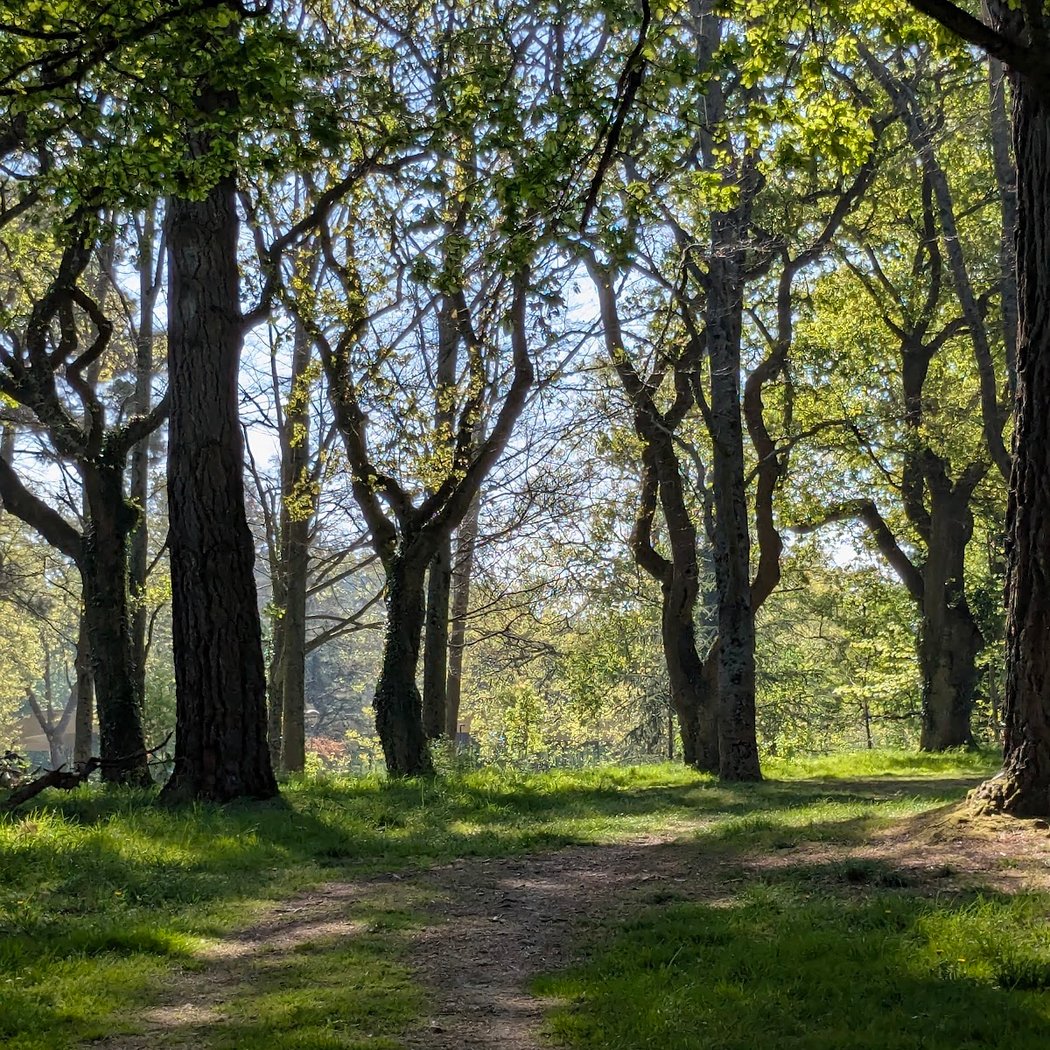 Parc du Petit Port 1