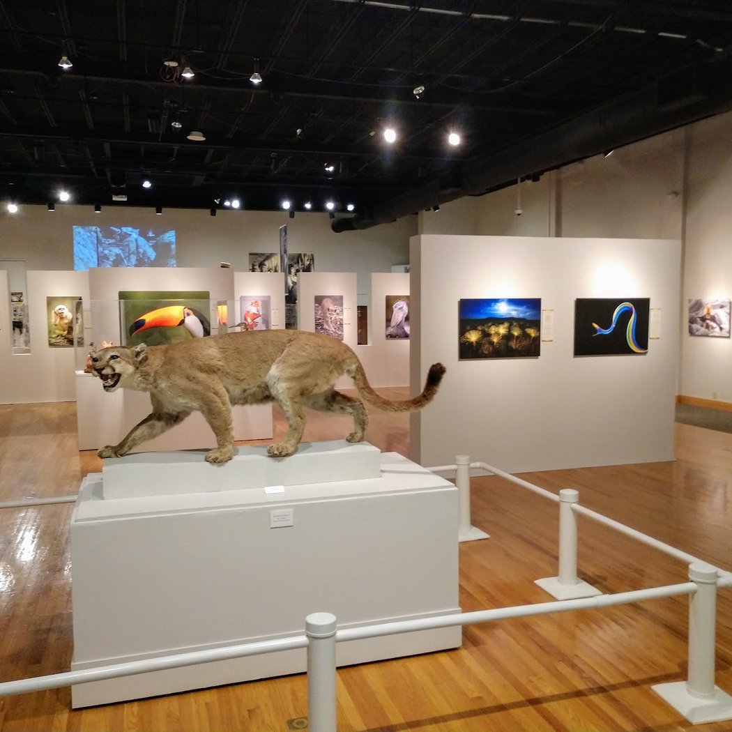 Roberson Museum 1
