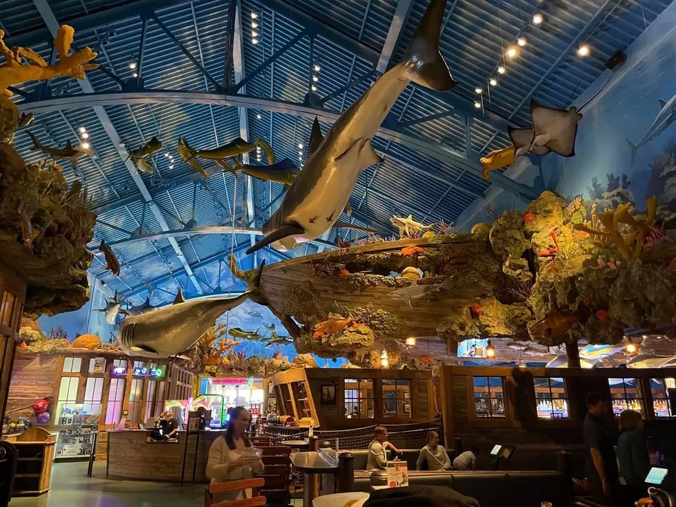 Uncle Buck's Fish Bowl and Grill 2