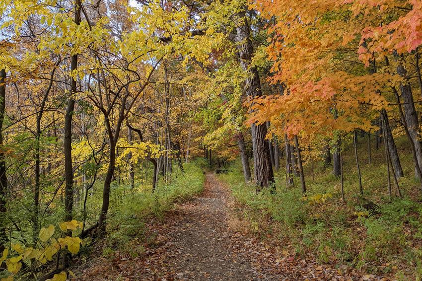 Cedar Bend Nature Area 2