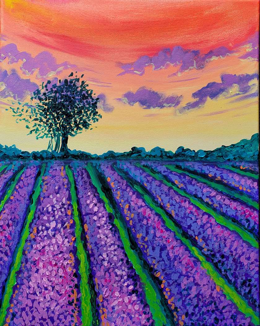 Lavender Field at Sunset 1