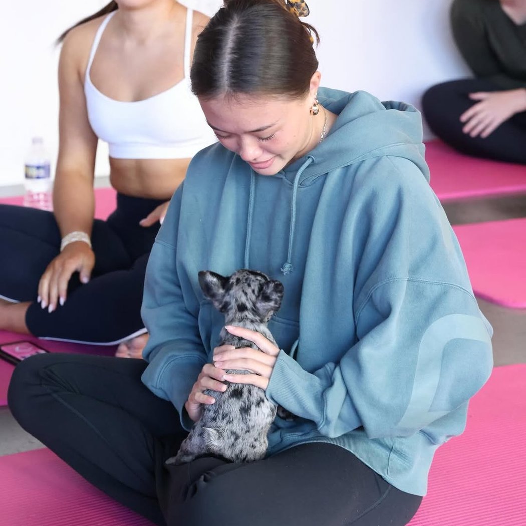 French Bulldog Puppy Yoga 1