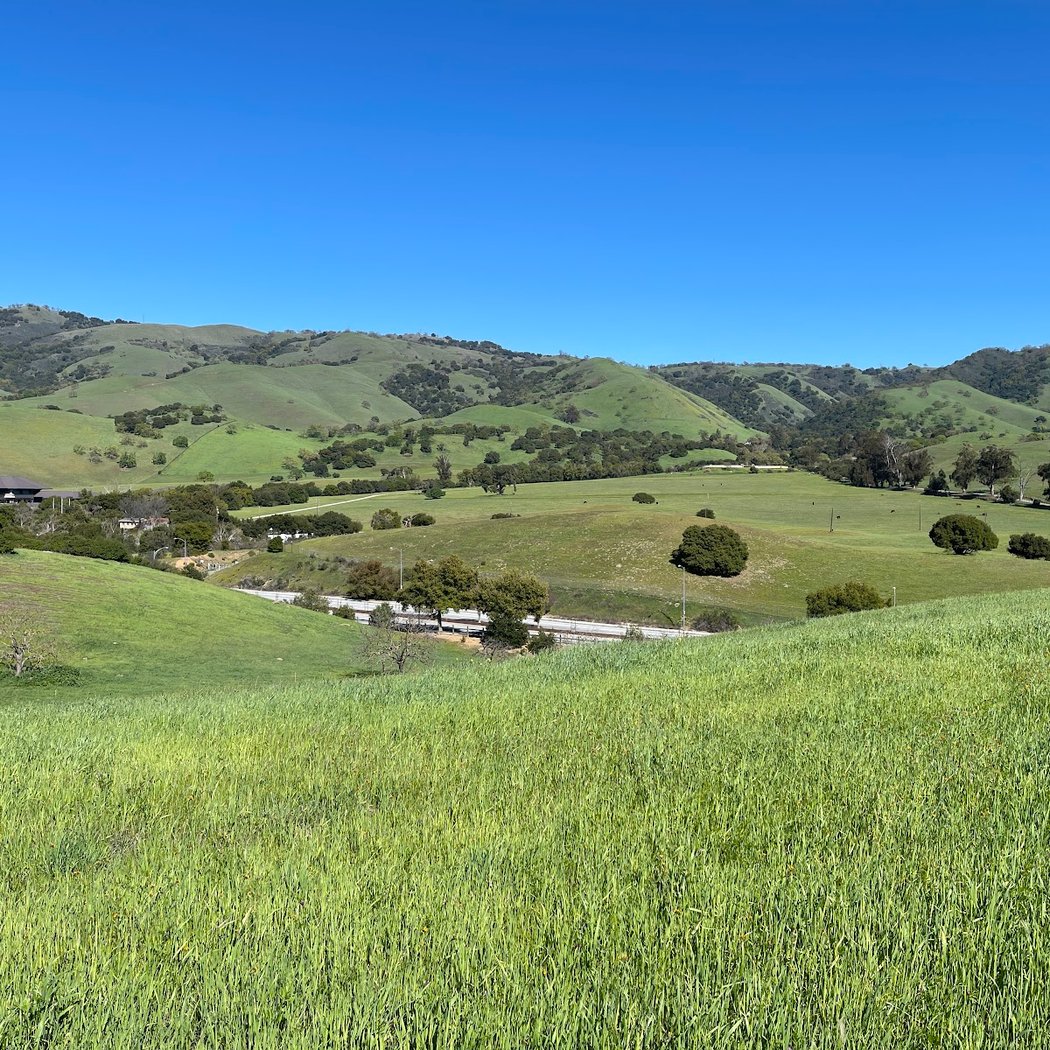 Montgomery Hill Park 2