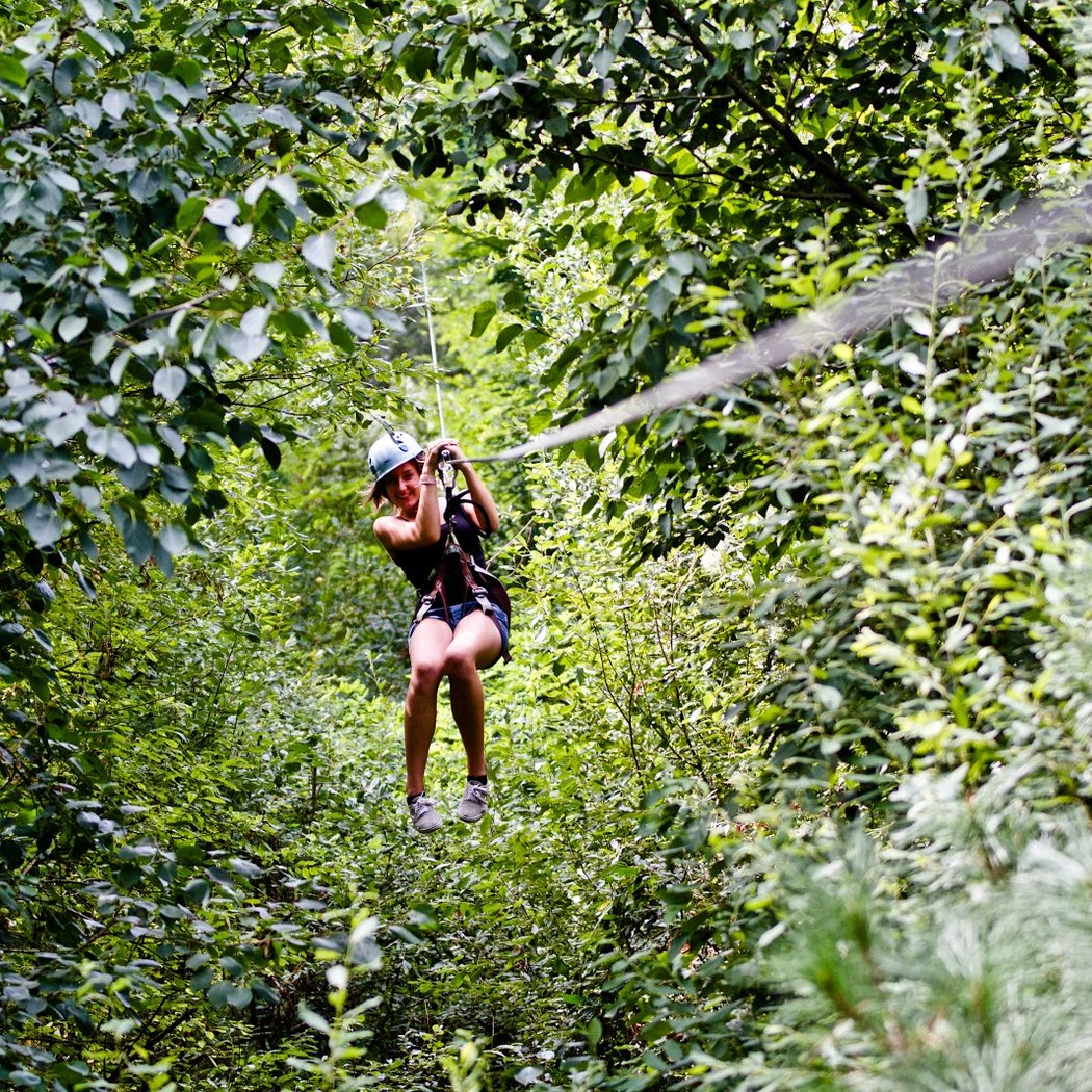 Indian Forest Yvelines 1