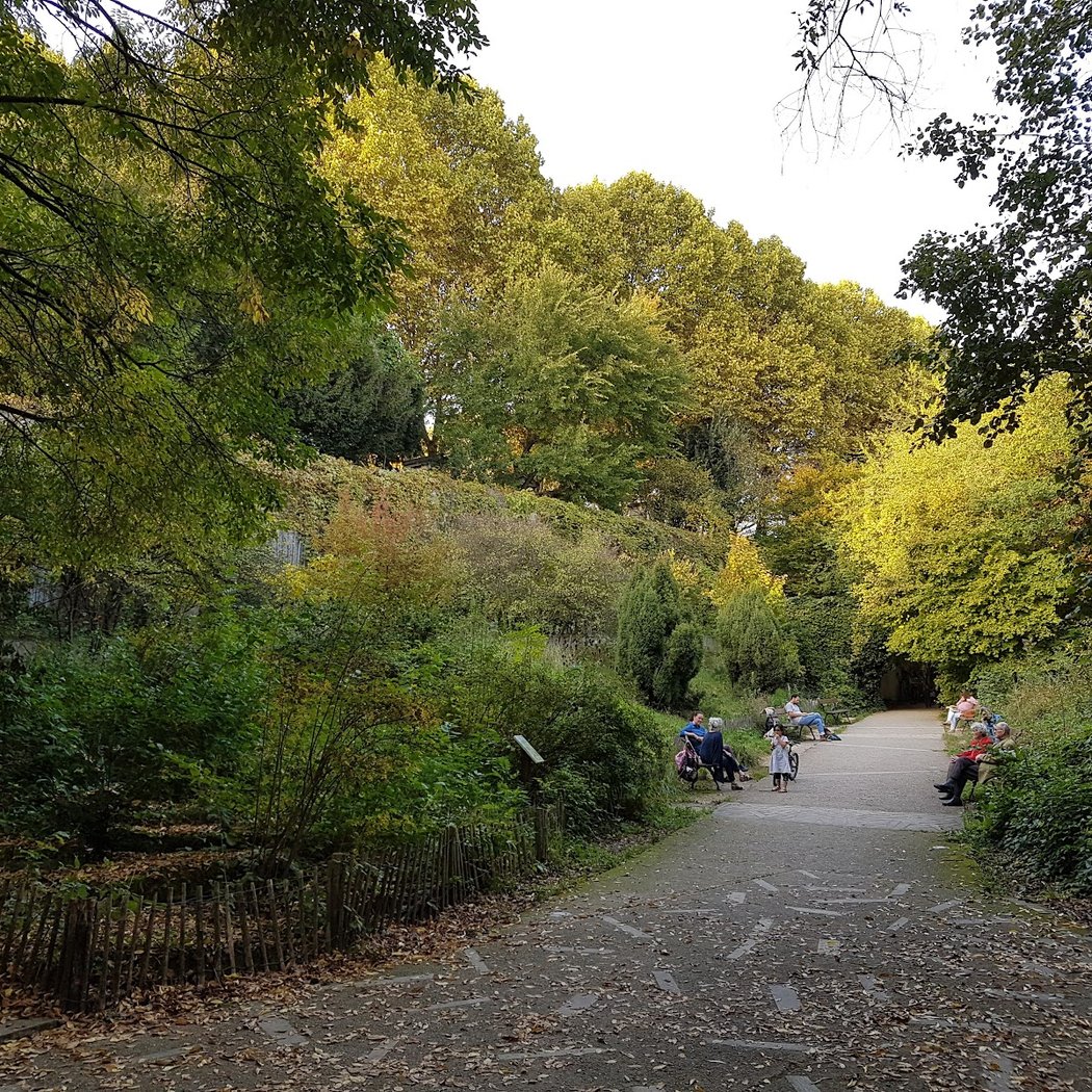 Pierre-Emmanuel naturel Garden 2