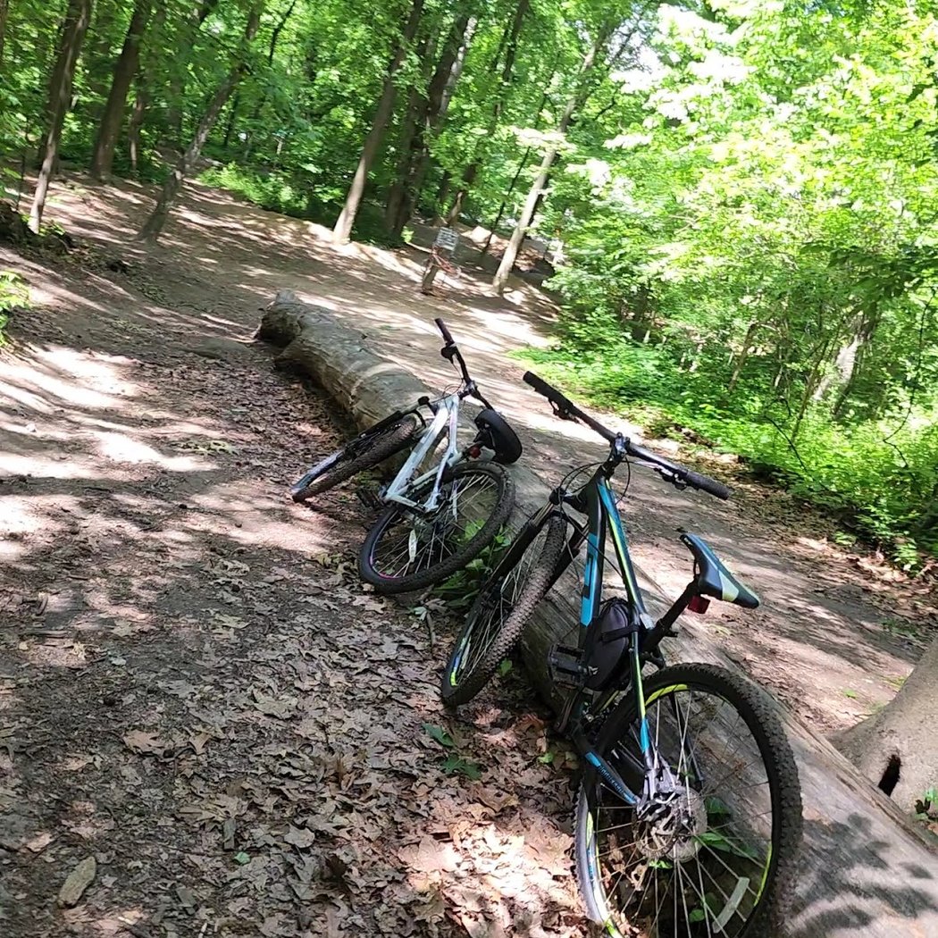 Cunningham Mountain Biking Trails 2